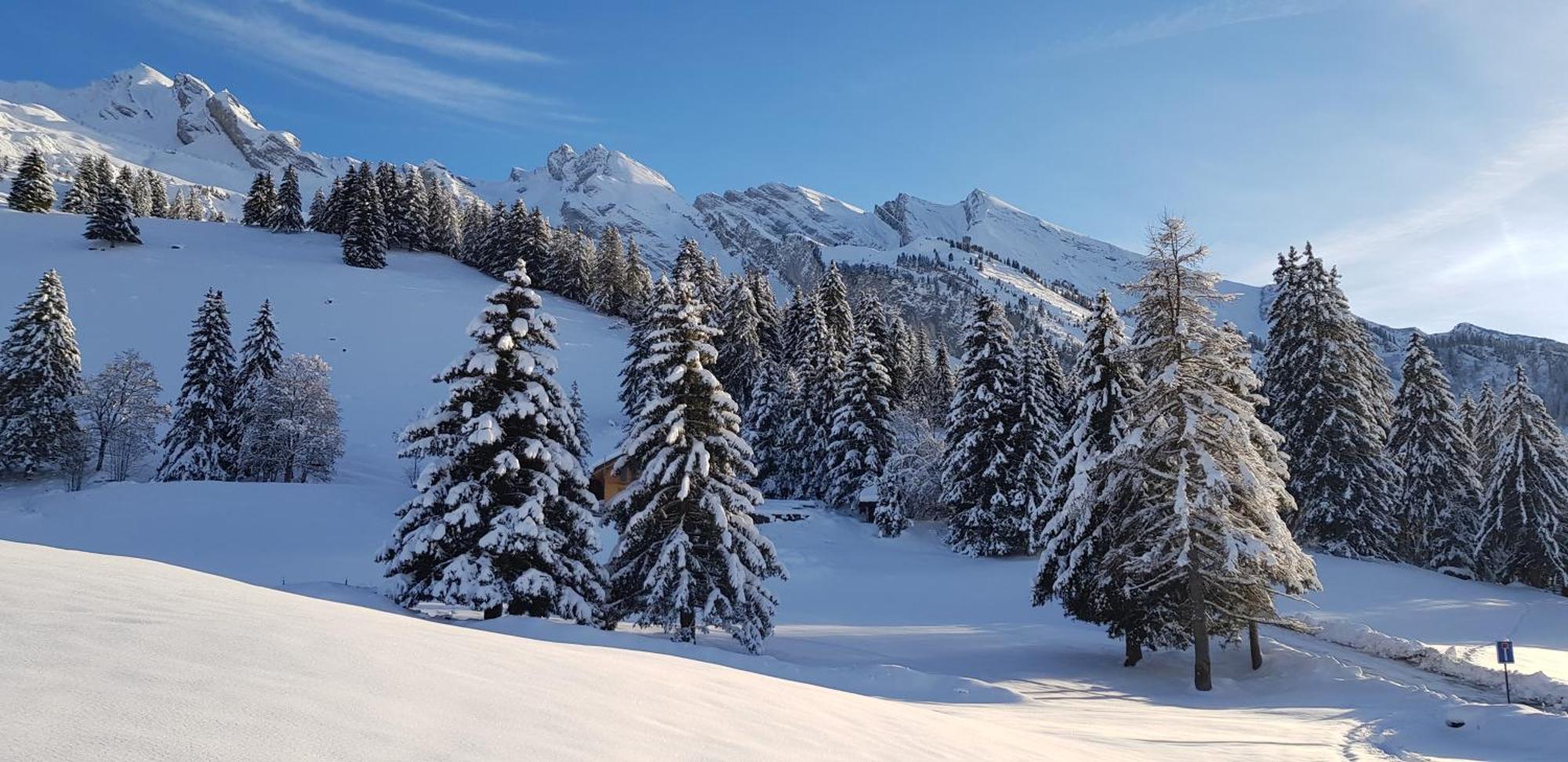 Appartement Cosy Face Aux Aravis Le Grand-Bornand Luaran gambar