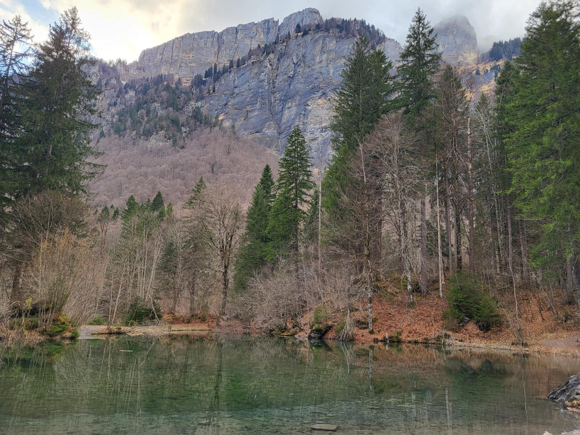 Appartement Cosy Face Aux Aravis Le Grand-Bornand Luaran gambar
